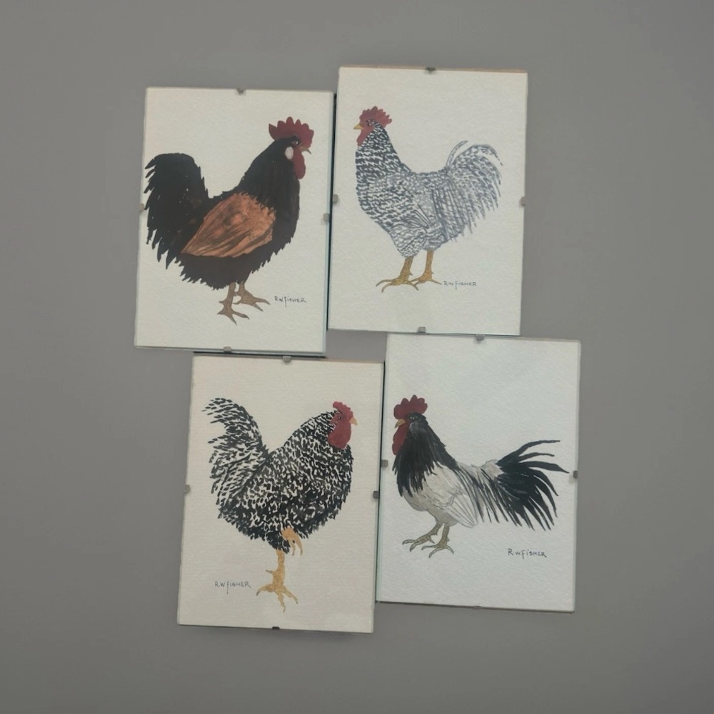 Rooster Prints 4 Wall Plaques Farmhouse Kitchen Chicken Barred Plymouth Rock